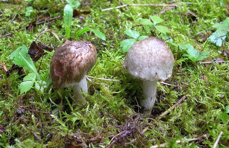 200582620159_DSCN8972.jpg