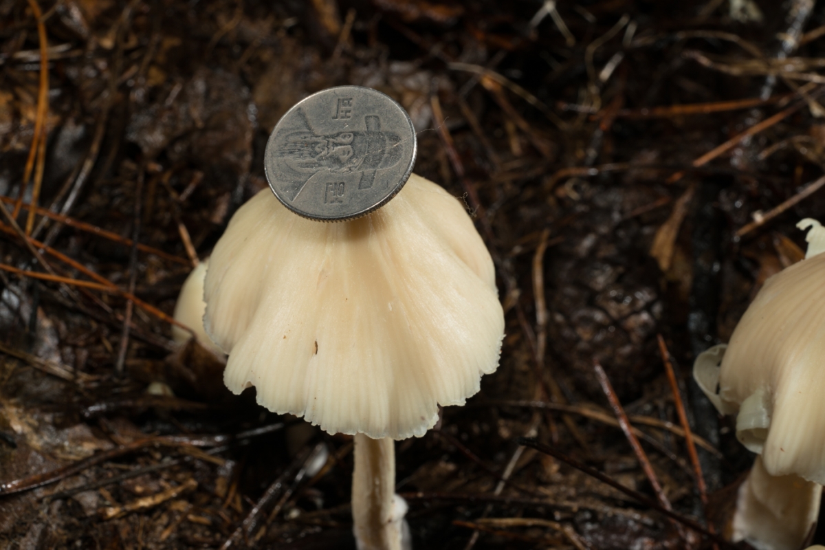 YDY02665.jpg