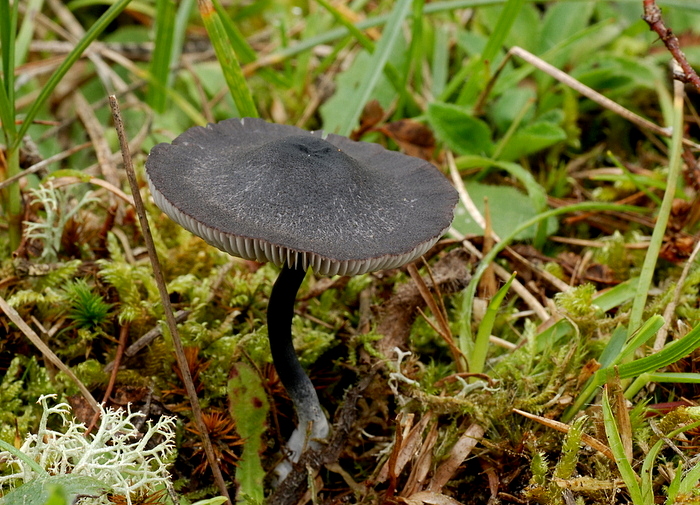 1-1-dsc_0055.jpg