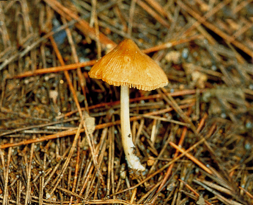 1890354780_VFnagTqR_0354.jpg