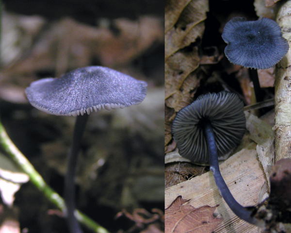 07082201c.jpg