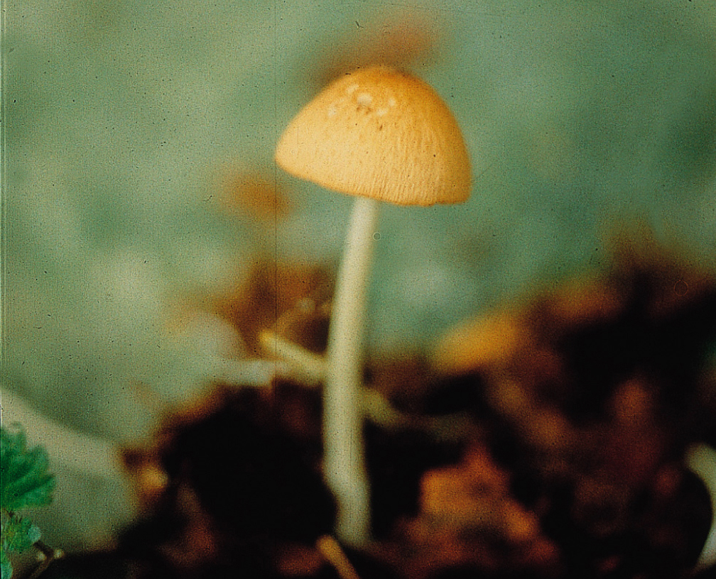 1890354780_vcBifkT3_0378.jpg
