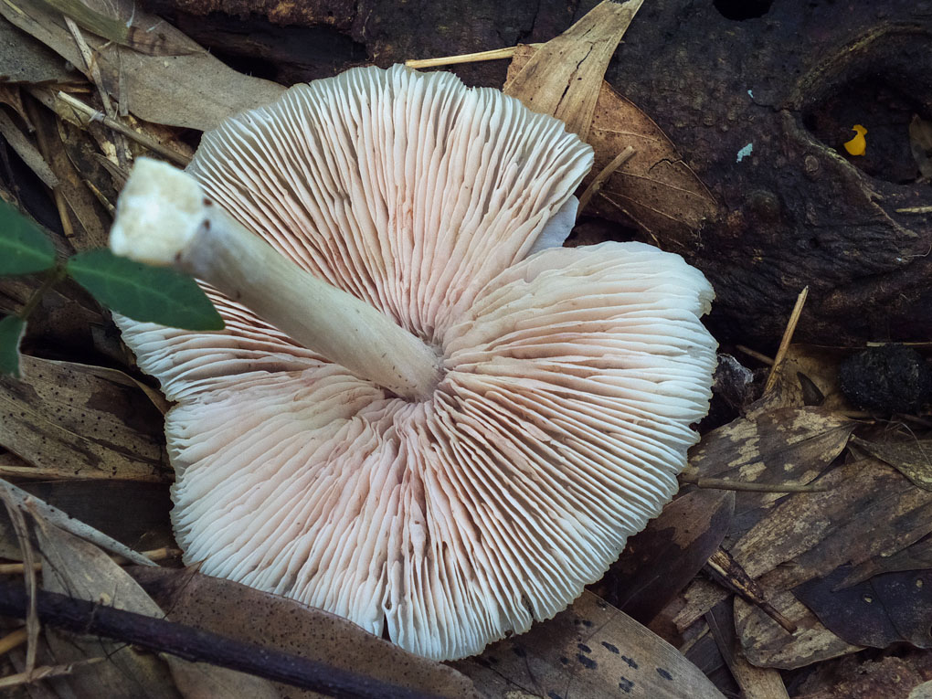 DSCF5042.jpg
