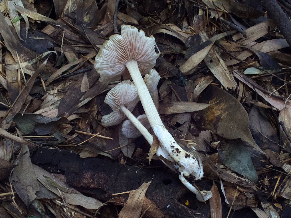 DSCF5041.jpg