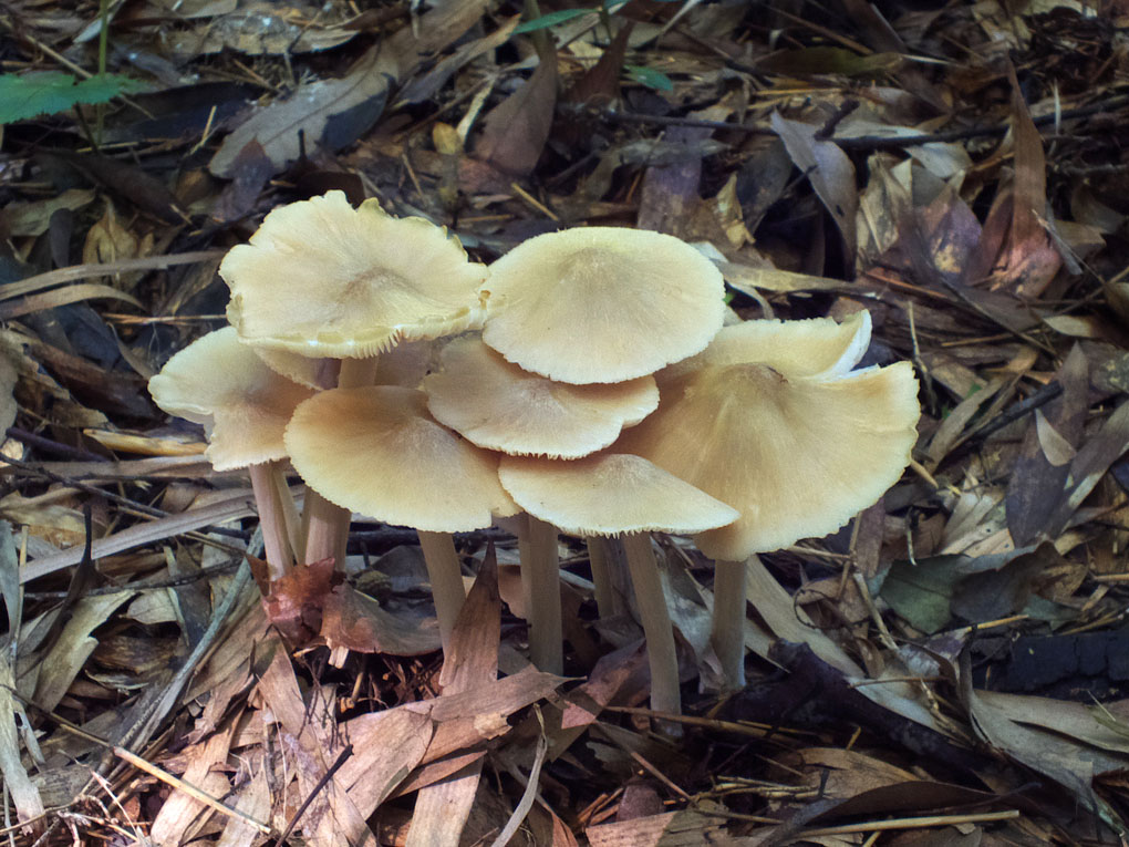 DSCF5040.jpg
