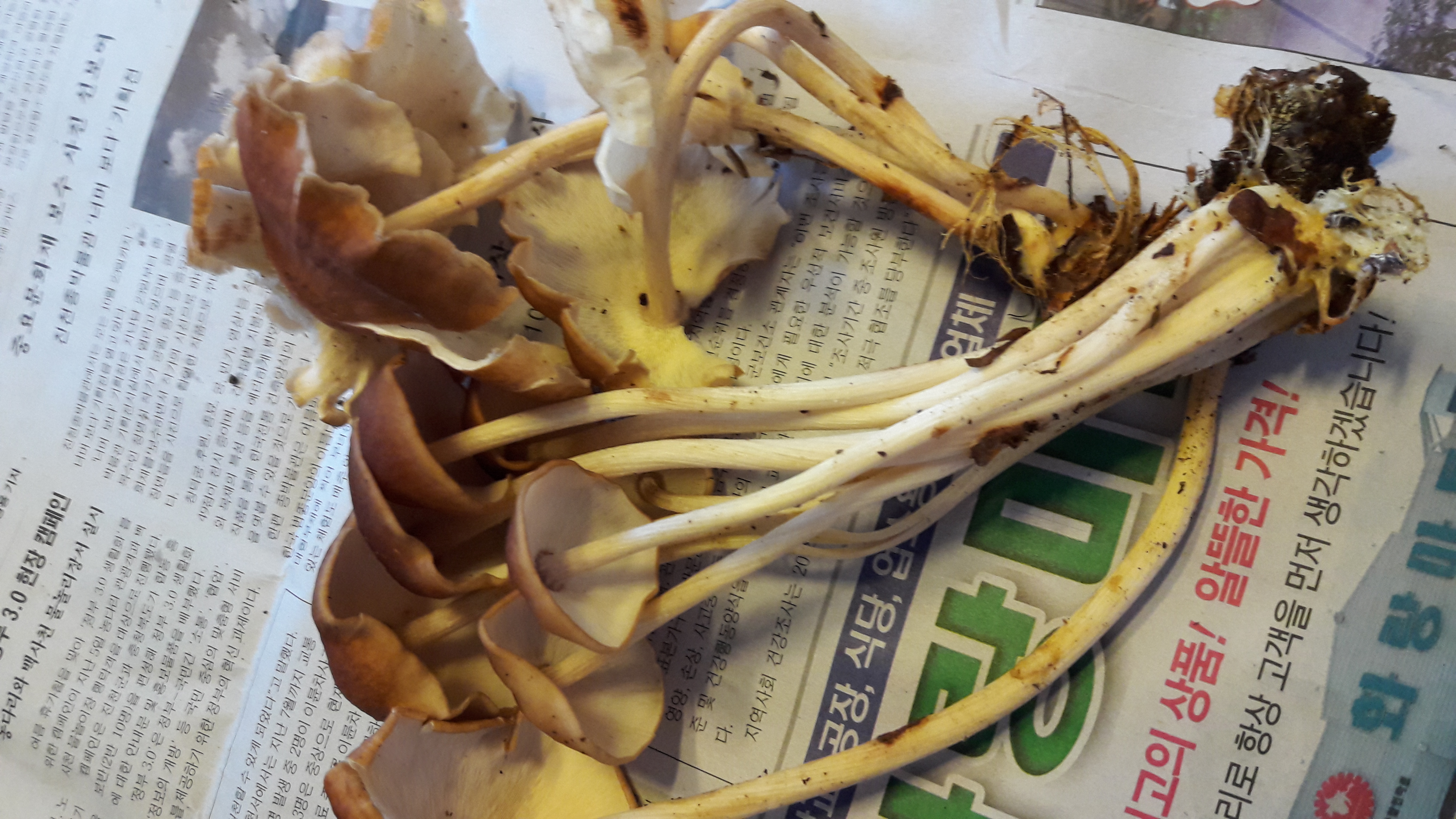20161009_160813.jpg