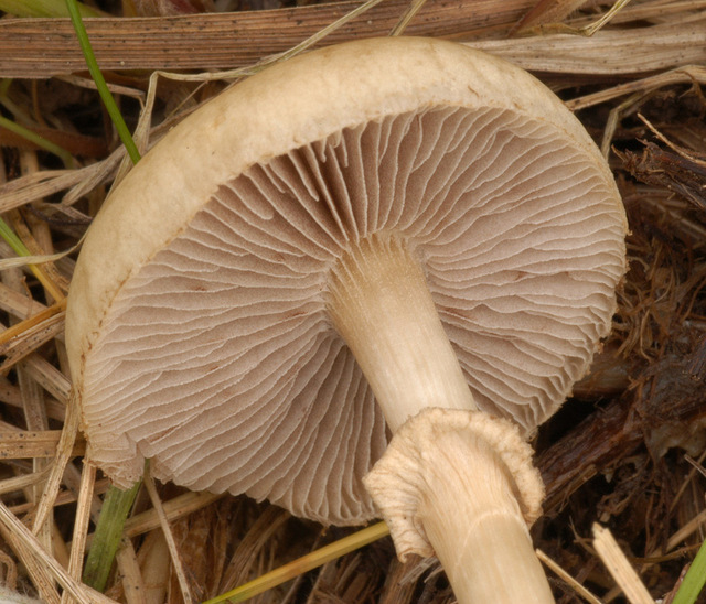 20p (1).jpg