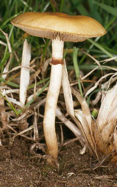 20p (7).jpg