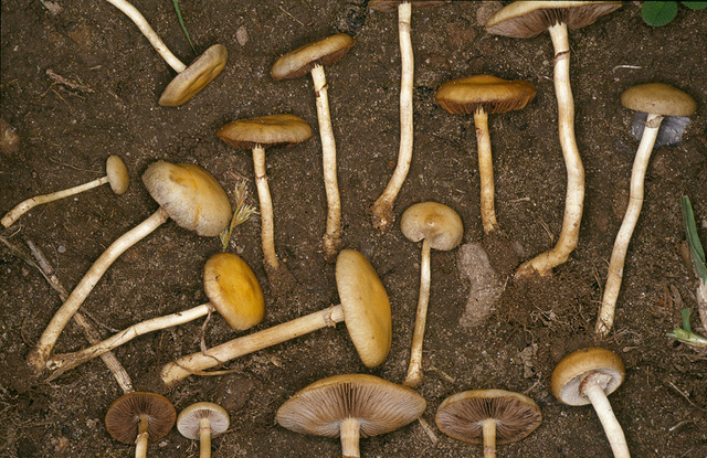 20p (6).jpg