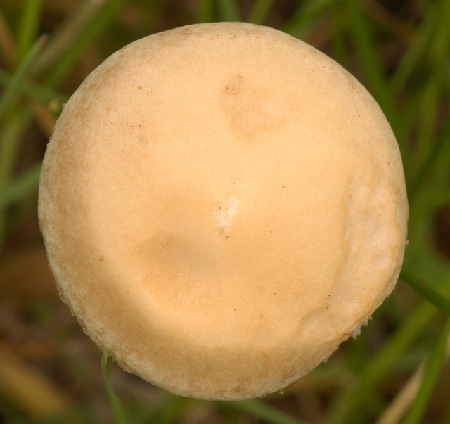 20p (2).jpg