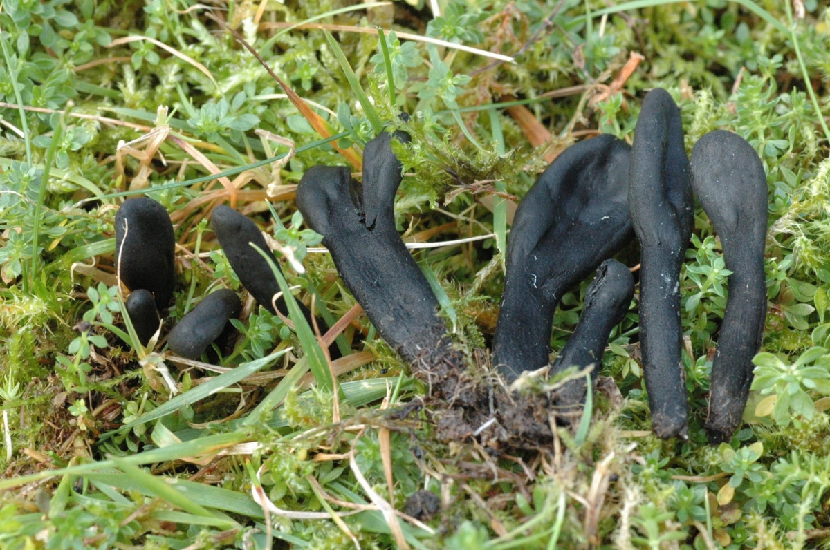 F7941.jpg