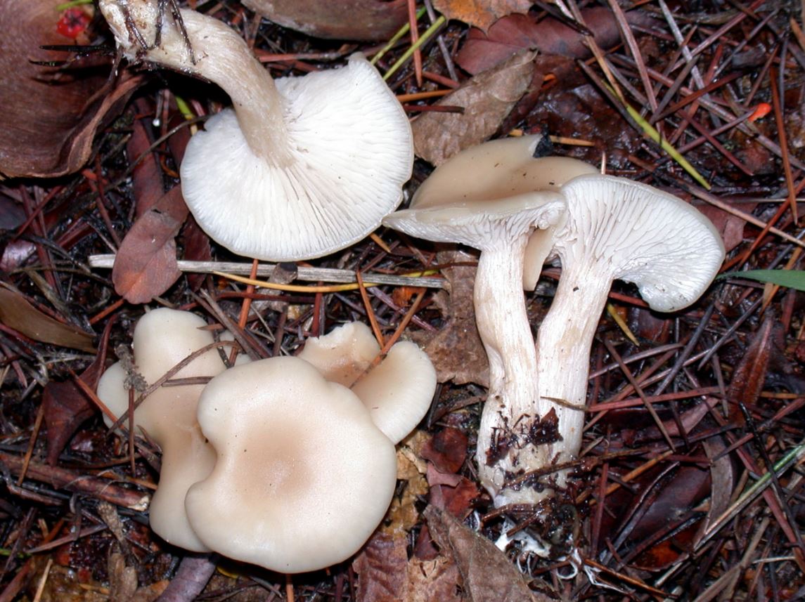 4555.JPG