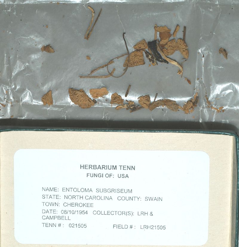TENN-F-021505_F1.jpg