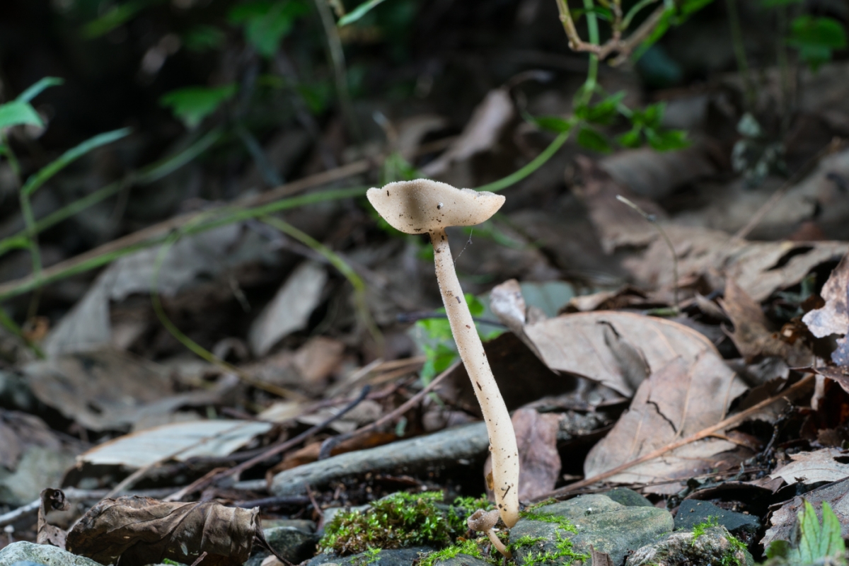 5d78e39d5813bf53081a6ae157db4e33.jpg