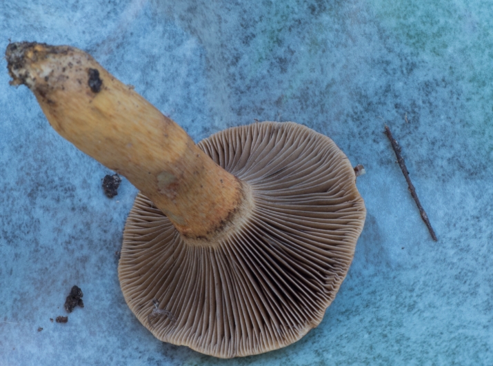 20170817_100258.jpg
