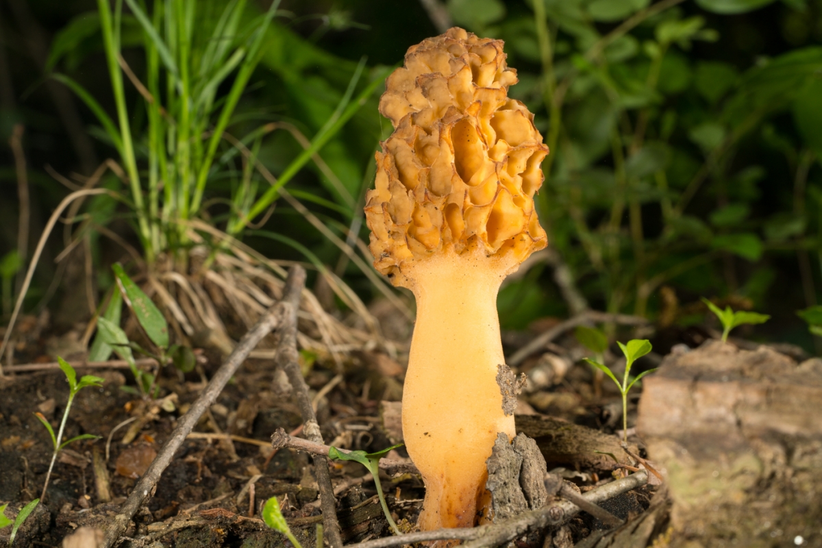 YDY07053.jpg