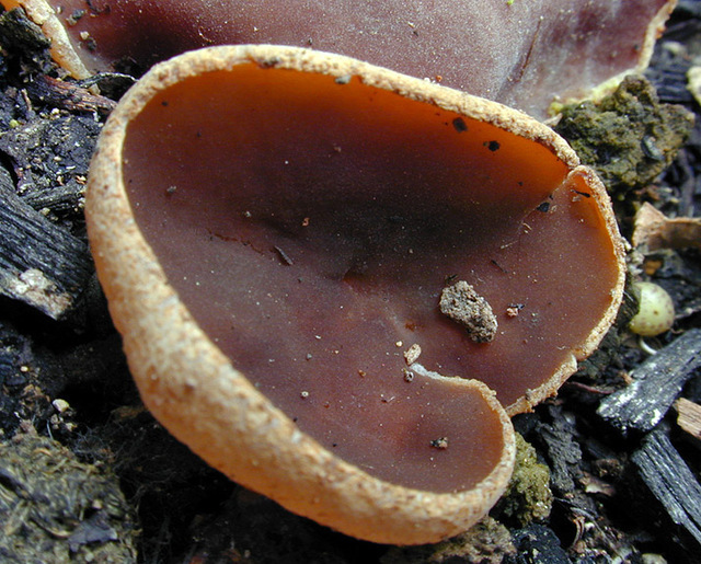 20p.jpg