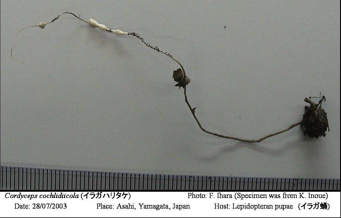 03043a.jpg