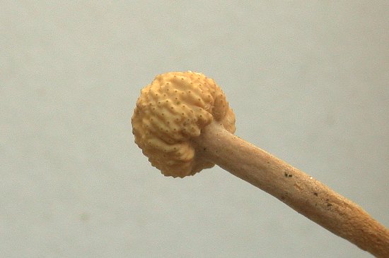 dscn7691a.jpg