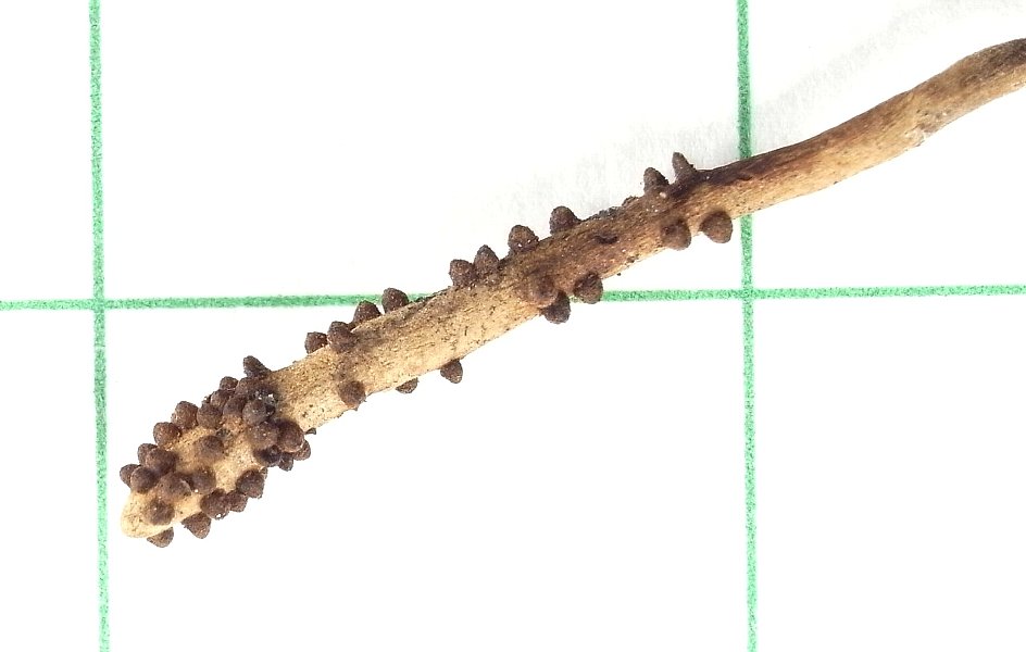 r0013696b.jpg