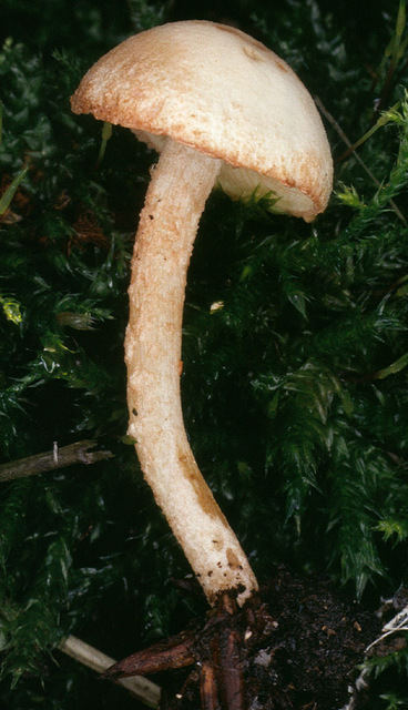 20p (1).jpg