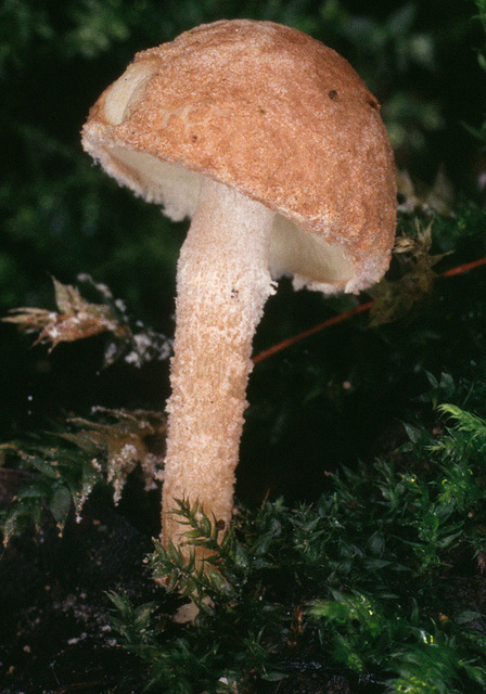 20p (3).jpg