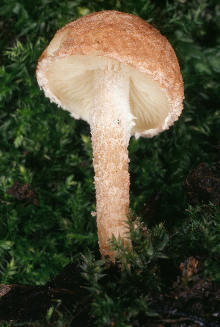 20p (4).jpg