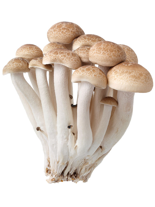 8e7b4f30ef0700d87fd3d27b3276dce6.jpg