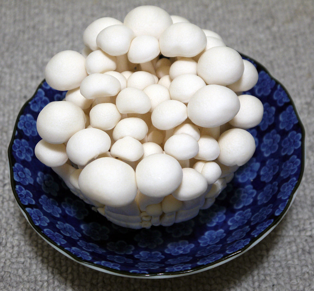 1024px-Japanese_Hokto_Bunapie_2.JPG