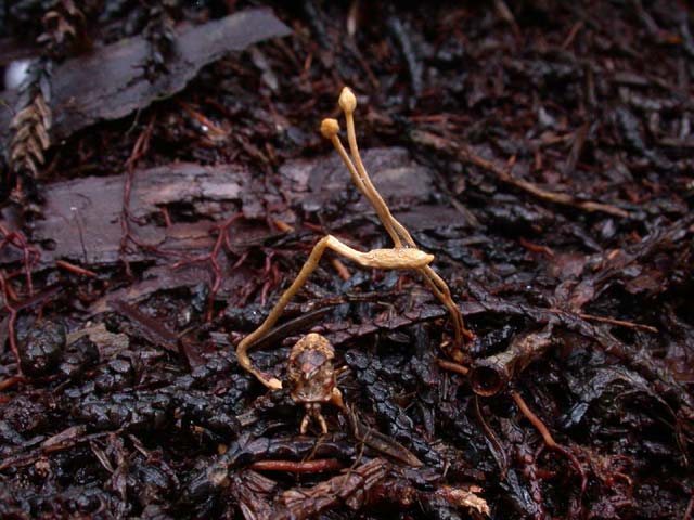 awa90726a.jpg