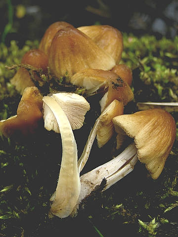1689_1.jpg
