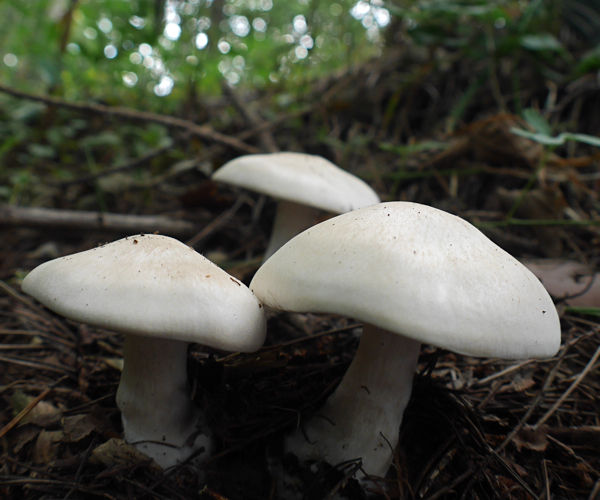 d904e2c1.jpg