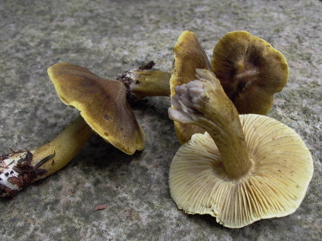 20101011194715.jpg