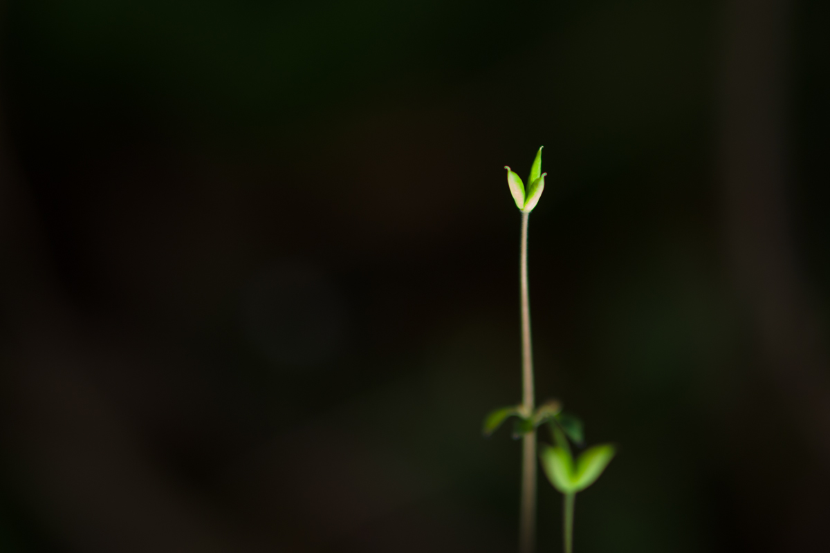 70668ae06cb001bab85e0848eb7da39f.JPG