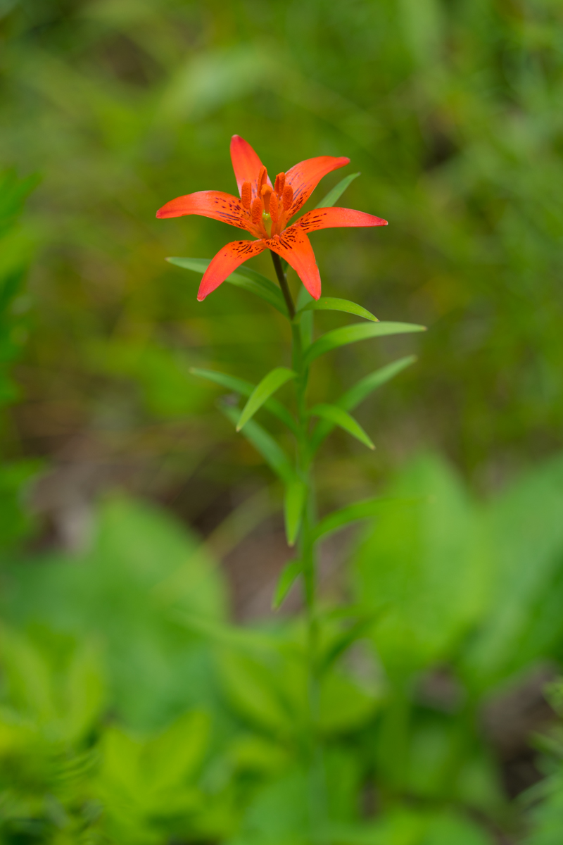 DSC01846.jpg