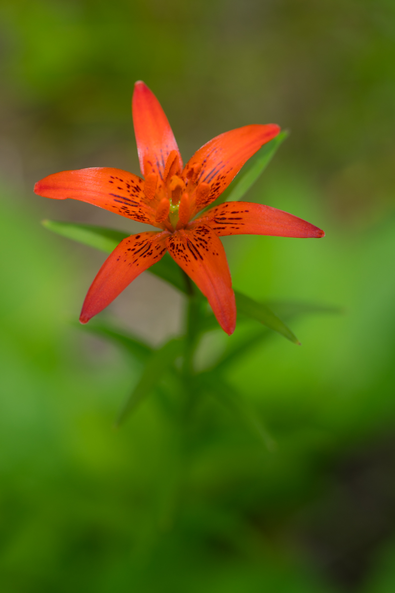DSC01847.jpg