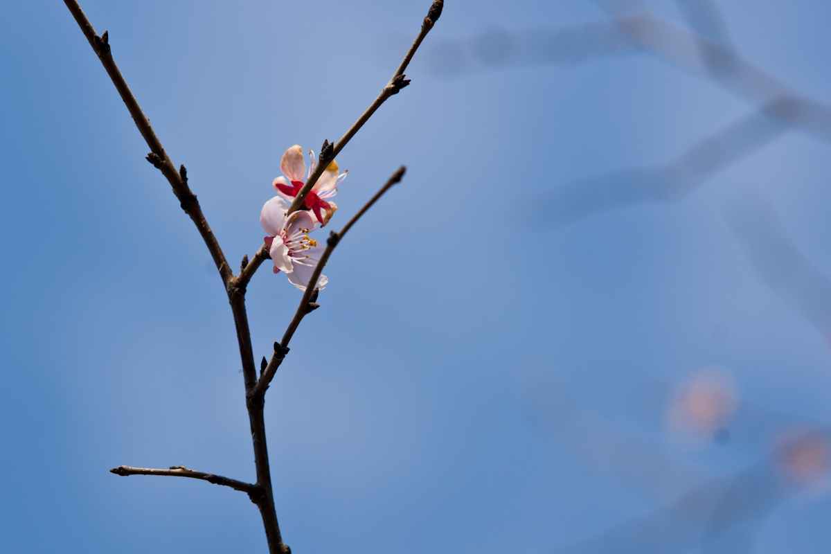 7570f9a9b41a4c4736fd3b1684568bc1.jpg