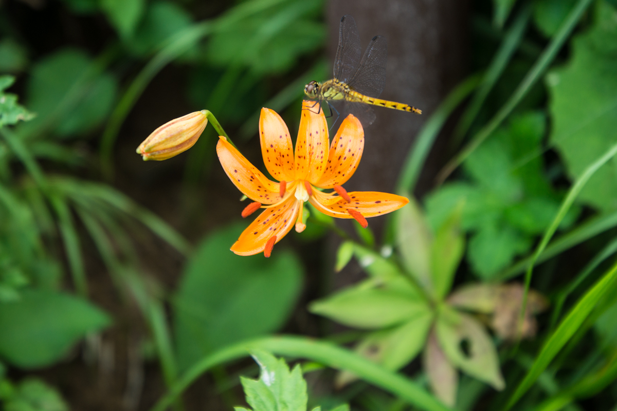 f8290023df97906e6c47bc5e816caa06.jpg