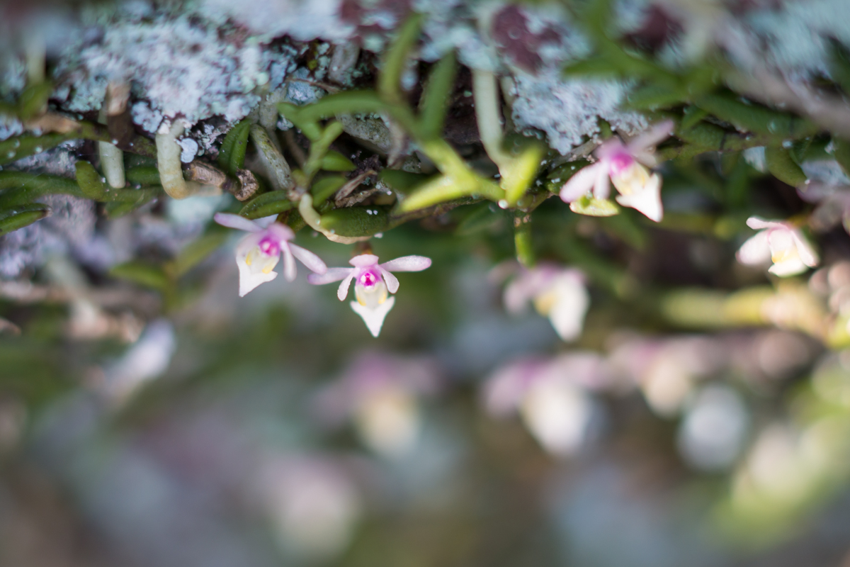DSC07722.jpg
