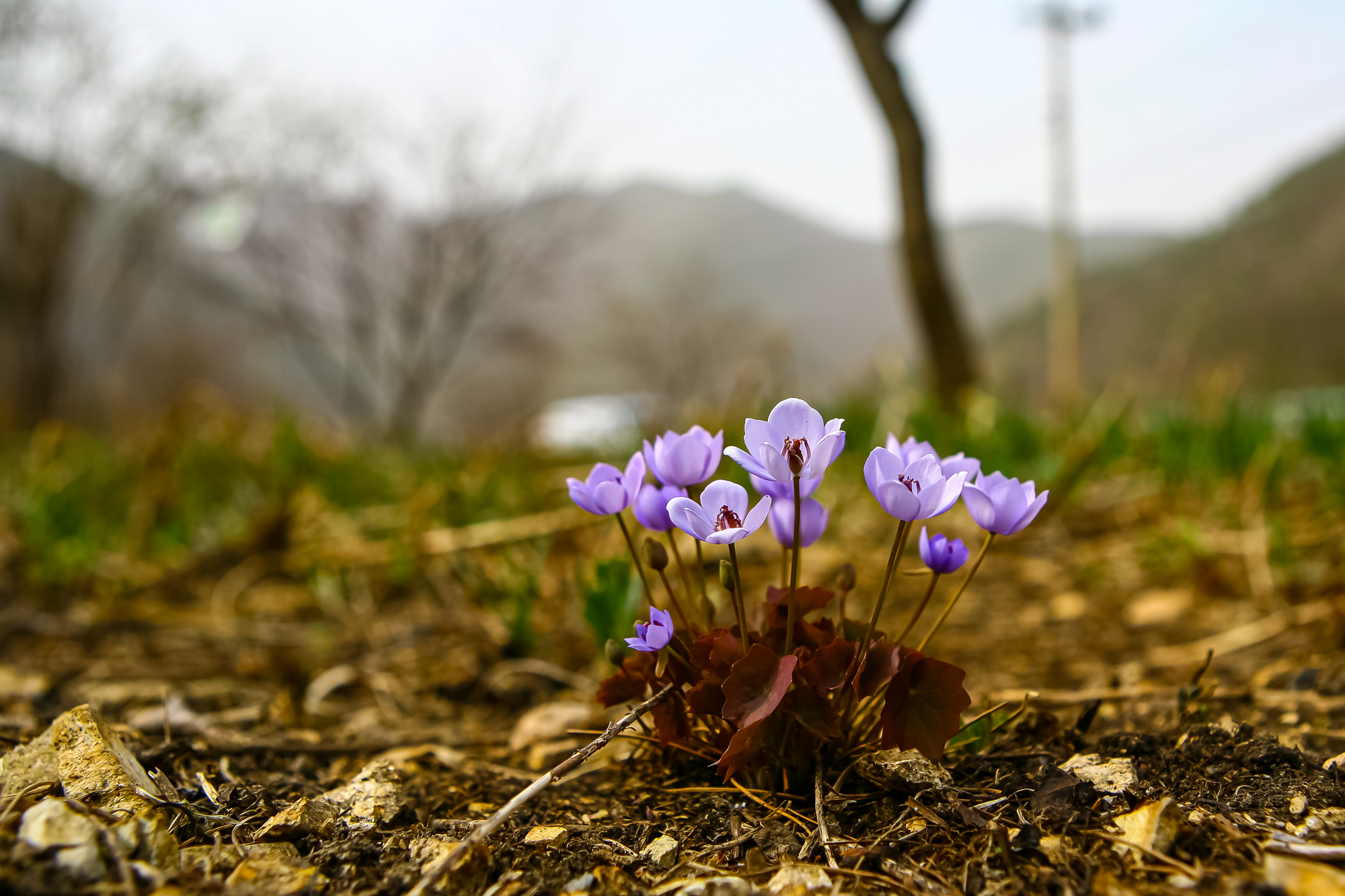 IMG_4300.JPG