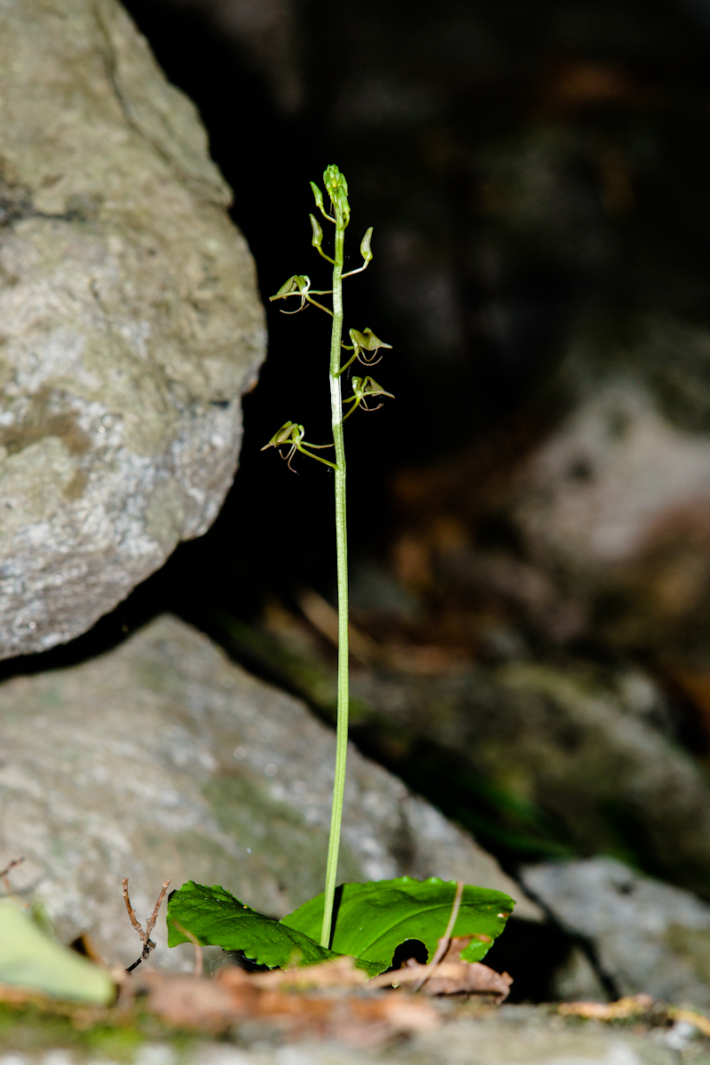 0c338175c9d2ab23dddc1d7d01cf7c98.jpg