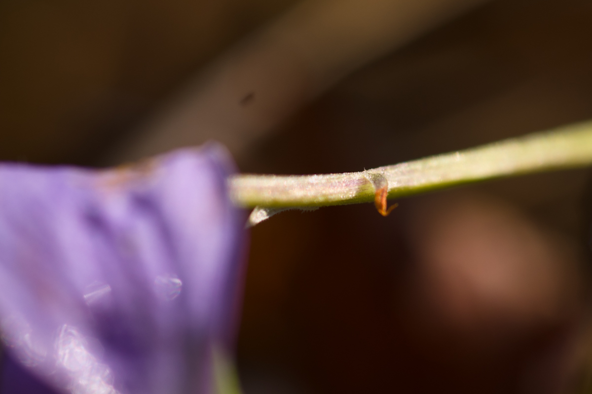 e8ef551f867f066b910278a18fbca66e.jpg