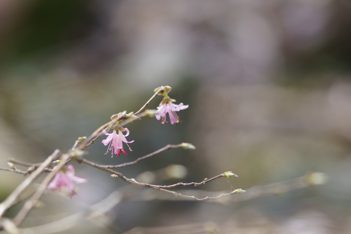 6745c8d06b3c3256b454bee68f05f7a5.jpg