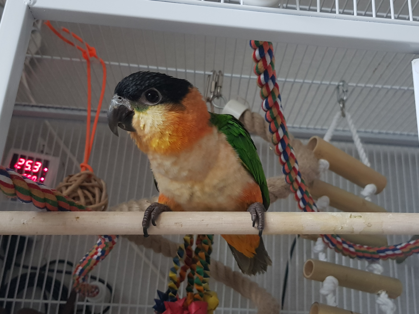 20190423_072434.jpg
