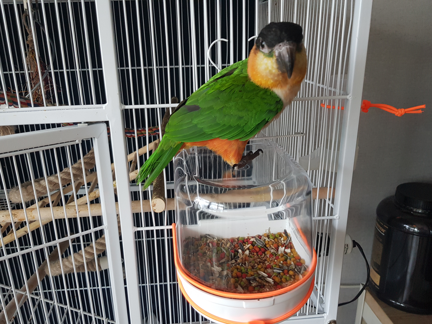 20190613_080228.jpg