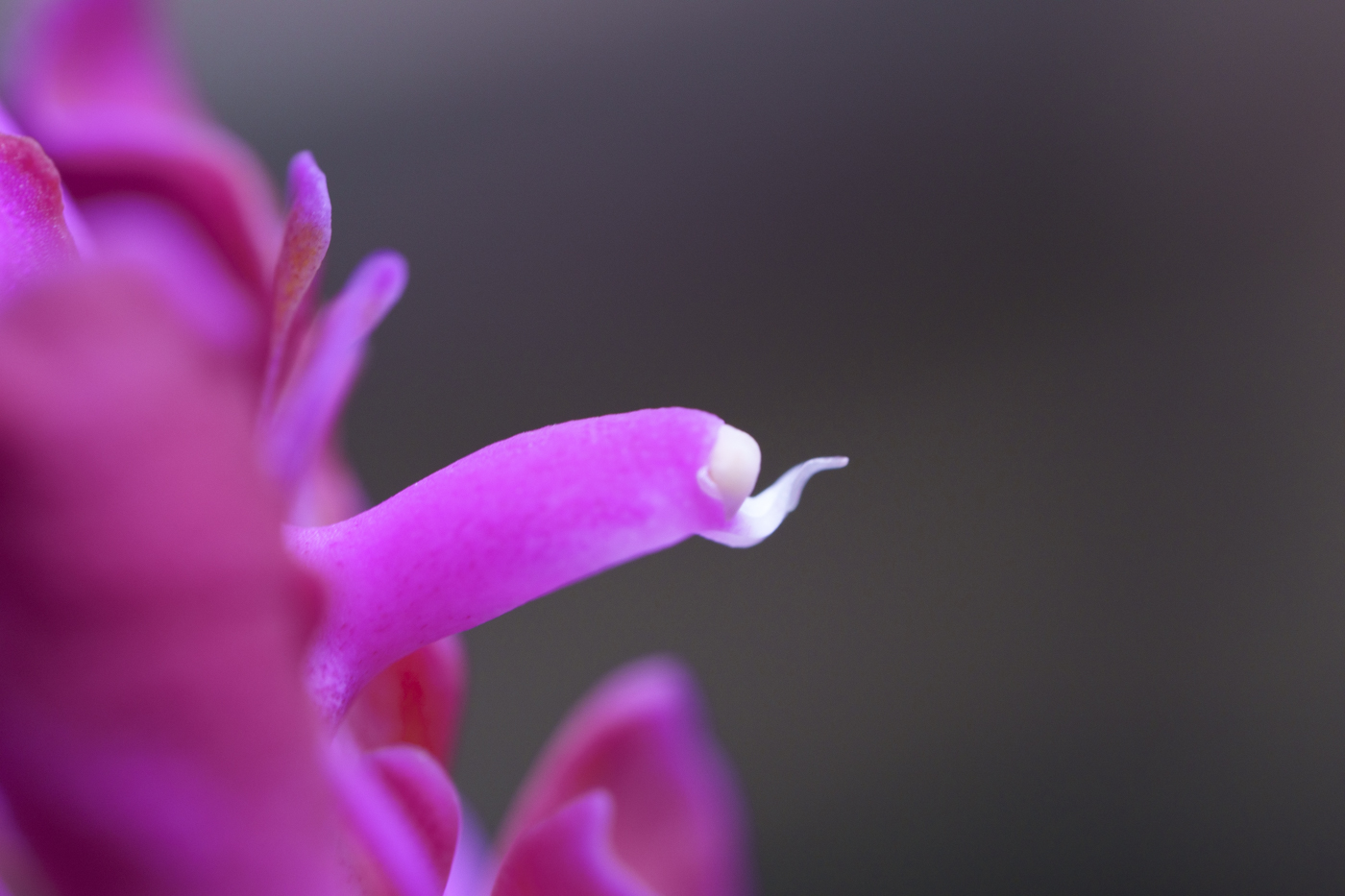 YDY00467-2.jpg