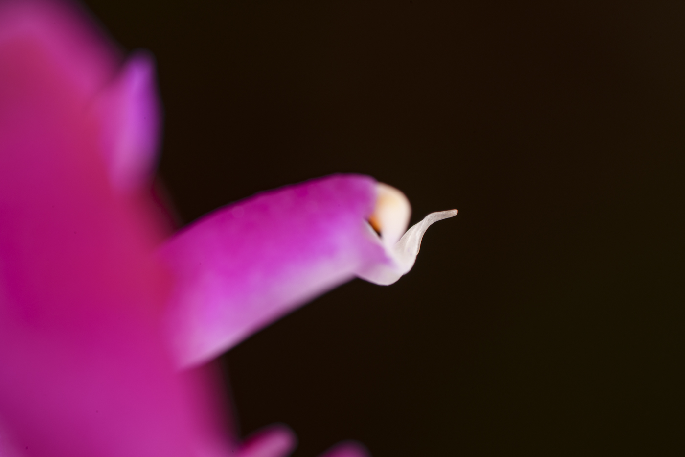 YDY00546-2.jpg