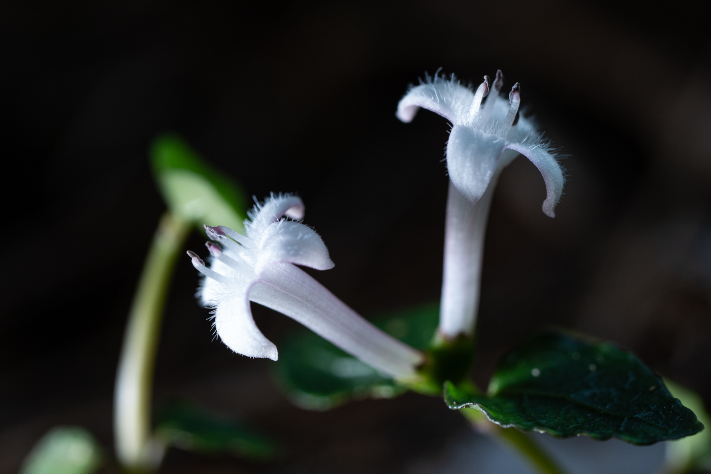 YDY01358.jpg