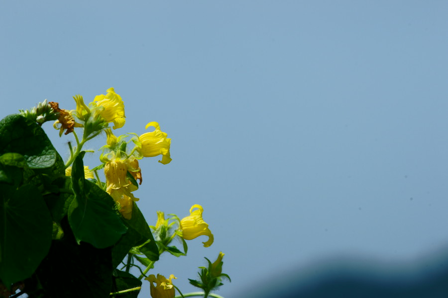 왕과_DSC07469.JPG