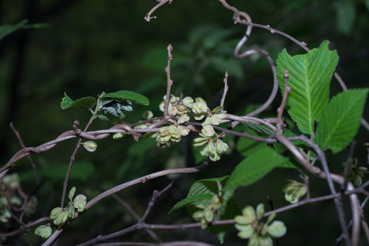 DSC06282.jpg